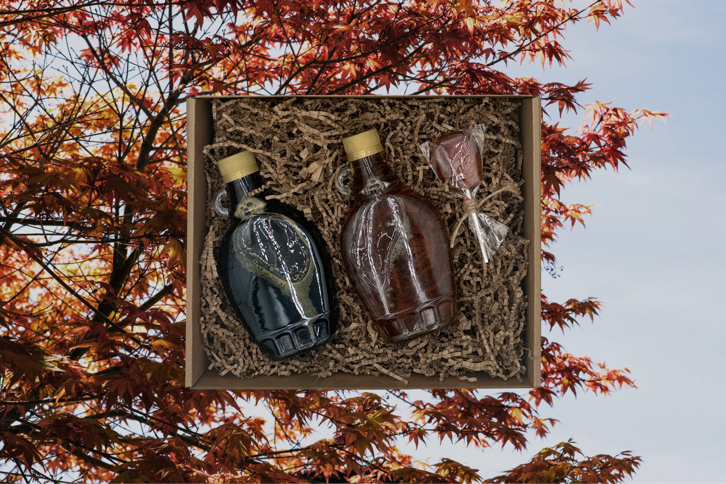 La boîte Maple bimensuelle